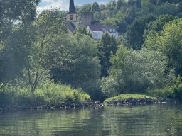 Mainschwimmen Juni 2026